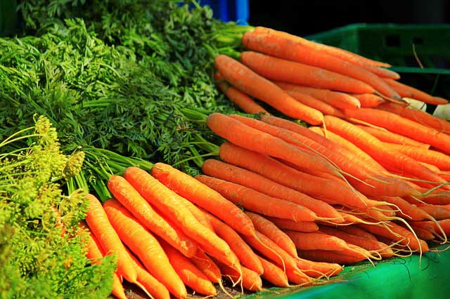Морковь для сушки