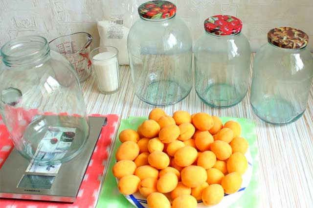 Ингредиенты для компота из абрикосов