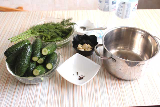 Ингредиенты для приготовления малосольных огурцов в кастрюле