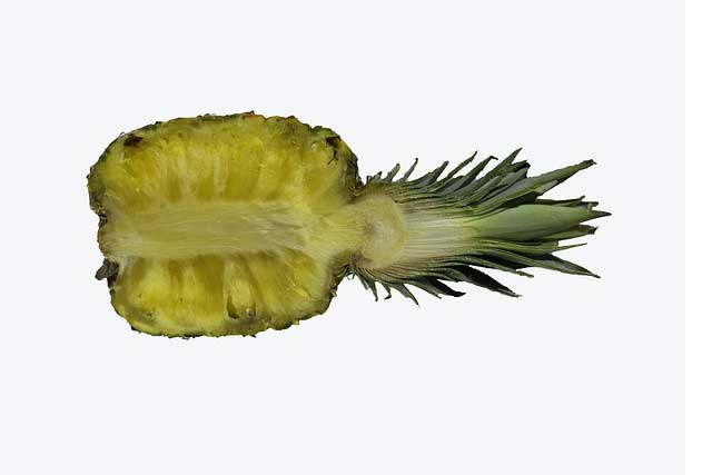 Сердцевина ананаса
