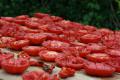 Как сушить помидоры