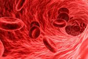 Питание для повышения гемоглобина