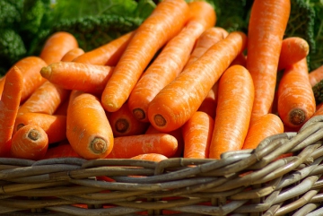 Хранение моркови