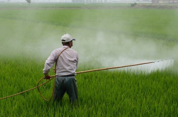 Обработка поля пестицидами